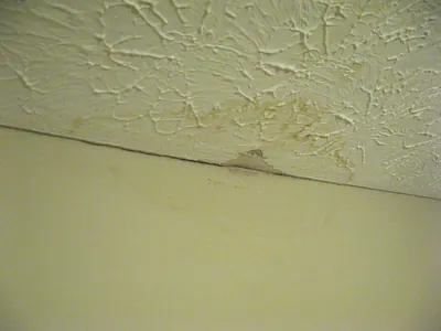 Yellow-brown water stain on a textured white ceiling